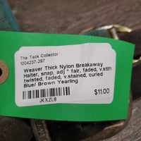 Thick Nylon Breakaway Halter, snap, adj * fair, faded, v.stiff, twisted, faded, v.stained, curled

