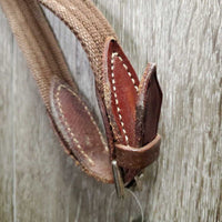 Rsd Bridle, Cotton Web Reins *vgc, MISSING 1 Cheek, dirty, mnr rubs & hair
