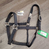 Stiff Nylon Halter, snap *gc, bent snap, stiff, stained, dirt, rubs, mnr oxidization, frays
