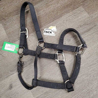 Stiff Nylon Halter, snap *gc, bent snap, stiff, stained, dirt, rubs, mnr oxidization, frays
