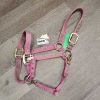 Nylon Halter, adj, snap *gc/fair, dirty, stained, faded, rubbed, residue
