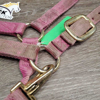 Nylon Halter, adj, snap *gc/fair, dirty, stained, faded, rubbed, residue
