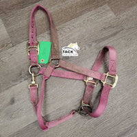 Nylon Halter, adj, snap *gc/fair, dirty, stained, faded, rubbed, residue
