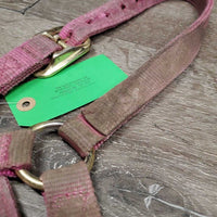 Nylon Halter, adj, snap *gc/fair, dirty, stained, faded, rubbed, residue
