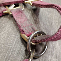 Nylon Halter, adj, snap *gc/fair, dirty, stained, faded, rubbed, residue
