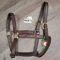 Hvy Soft Leather Halter, snap, nameplate holes *gc, older, mnr dirt, residue, dirt, rubs, oxidization, cuts, scrapes, threads, dents, stains
