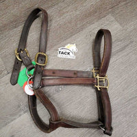 Hvy Soft Leather Halter, snap, nameplate holes *gc, older, mnr dirt, residue, dirt, rubs, oxidization, cuts, scrapes, threads, dents, stains

