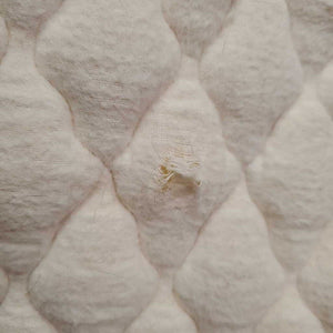 Fitted Quilt Hunter Saddle Pad, fleece edge *gc, clean, stains, clumpy, dingy, puckered, pills, holes, mnr hair