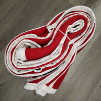 Wool Square Cooler "Saskatchewan Lotteries Champ", tail *vgc, older, clean, mnr hair, dirt, dingy binding, stains
