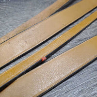 Flat Leather Standing Martingale *like new, No Stopper, v.dry, v.stiff, stretched & loose keepers, mnr stains?paint
