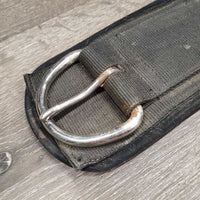 Nylon Web - Neoprene Liner Cinch, D Rings x 2 *gc/fair, clean & dirty, rusty, ozidized, hair
