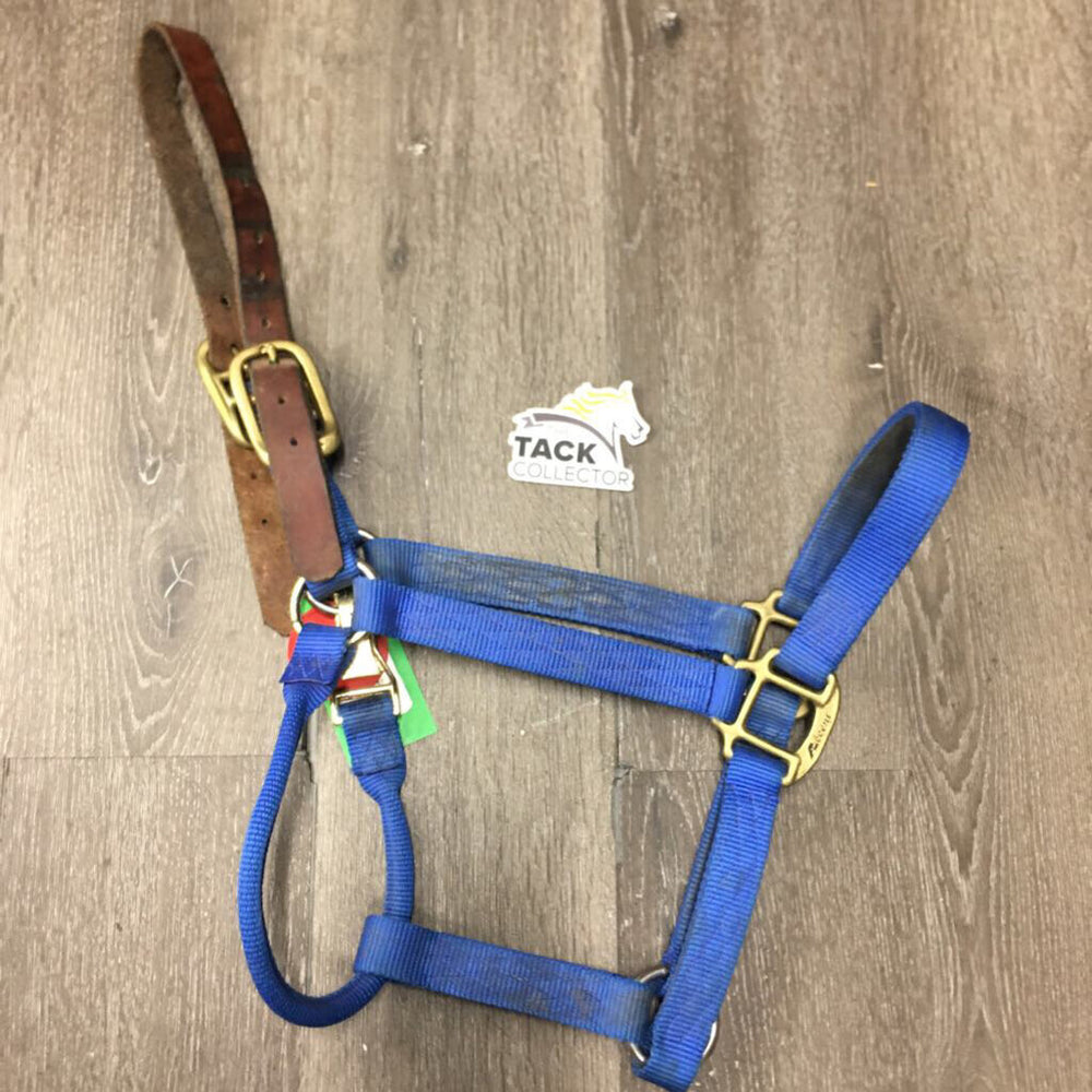 Thick Soft Nylon, Leather Crown Breakaway Halter, snap *gc, dirty, stains