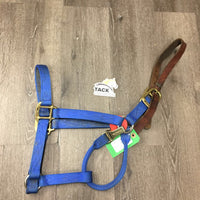 Thick Soft Nylon, Leather Crown Breakaway Halter, snap *gc, dirty, stains