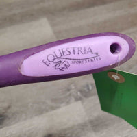 Thick Plastic Hoof Pick *gc, v.dirty
