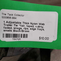 1 Adjustable Thick Nylon Web Trailer Tie *fair, taped, v.dirty, faded, snags, rips, edge frays, smells
