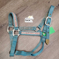 Thick Nylon Halter *gc/fair, stains, discolored, rubs & frays, faded, missing grommet, older

