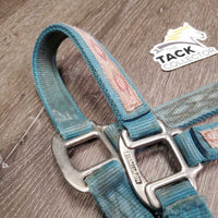 Thick Nylon Halter *gc/fair, stains, discolored, rubs & frays, faded, missing grommet, older
