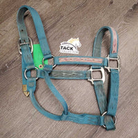 Thick Nylon Halter *gc/fair, stains, discolored, rubs & frays, faded, missing grommet, older

