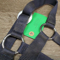 Nylon Halter *gc, dirty, faded, stains
