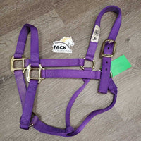 Thick Nylon Halter *vgc/xc, mnr dirt
