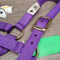 Thick Nylon Halter *vgc/xc, mnr dirt
