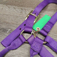 Thick Nylon Halter *vgc/xc, mnr dirt
