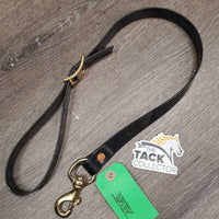 Biothane Tie Down Strap, snap *vgc, mnr dirt?dusty
