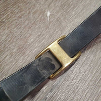 Biothane Tie Down Strap, snap *vgc, mnr dirt?dusty
