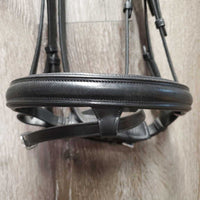 Padded Dressage Bridle, Crank, Flash, Web Reins, Navy Bag, tags *new
