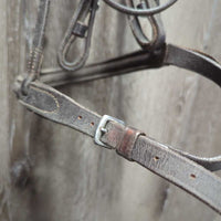 Rsd Padded Bridle *gc, dirty, rubs, scrapes, creases, v.tight keepers, xholes, splitting, dry, stiff
