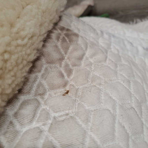 Sheepskin Quilt Half Pad, rolled edges *gc, clean, clumpy, stains, dingy, weak velcro, mnr pills, hair, rubs, threads, puckers