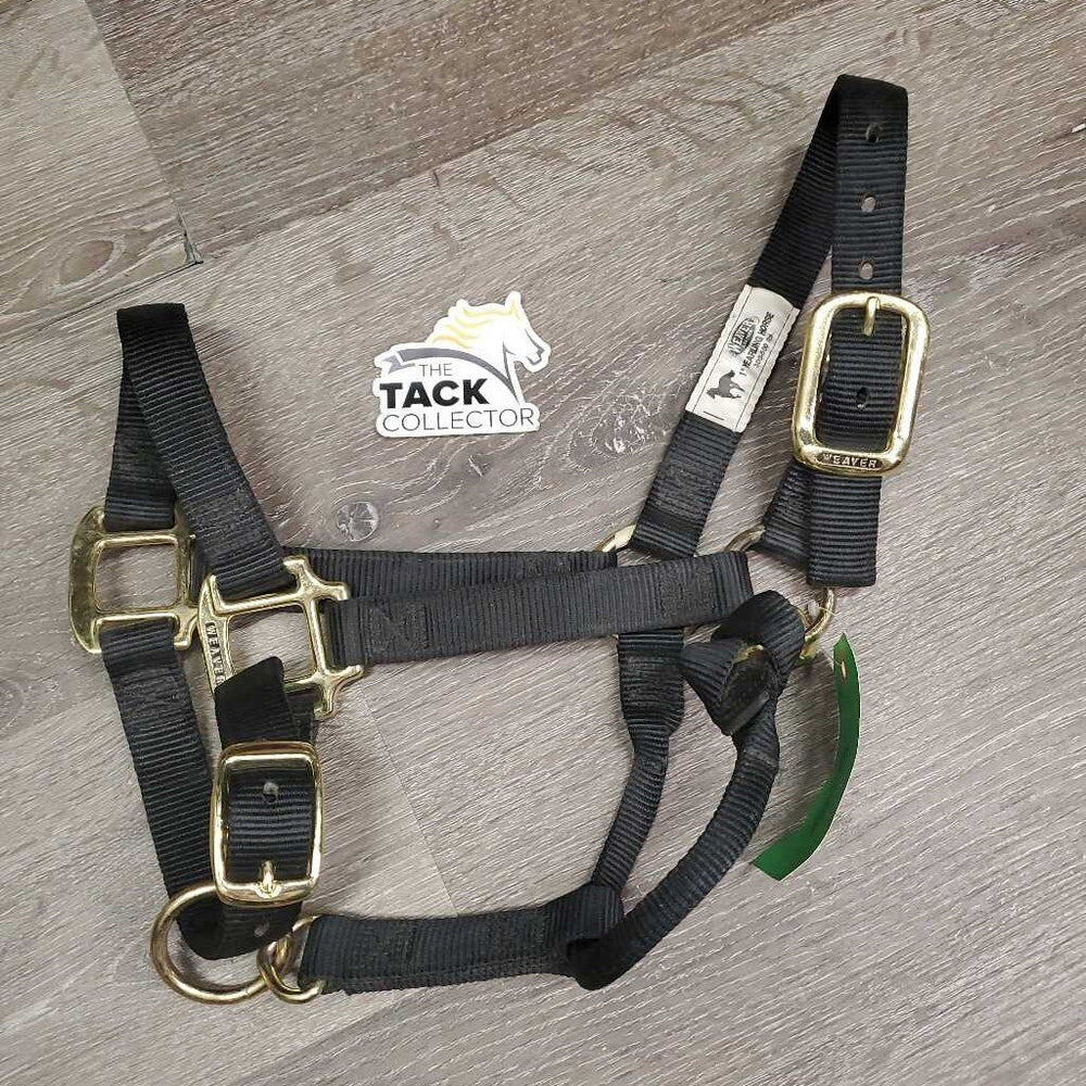 Nylon Halter, adj, snap *xc/vgc, mnr dirt, stains