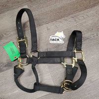 Nylon Halter, adj, snap *xc/vgc, mnr dirt, stains
