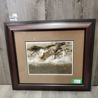 Running Horses Photograph, Matted, Wood Frame *vgc, dusty