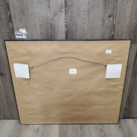 Running Horses Photograph, Matted, Wood Frame *vgc, dusty
