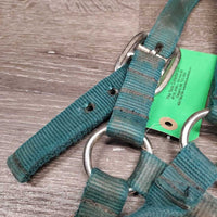 Thick Nylon Halter *gc/fair, v.dirty, stains, hairy, frays, faded, older
