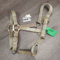 Thick Nylon Halter, adj, snap *gair, dirty, stains, rubs, unstitched, frayed holes
