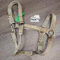 Thick Nylon Halter, adj, snap *gair, dirty, stains, rubs, unstitched, frayed holes

