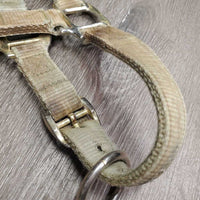 Thick Nylon Halter, adj, snap *gair, dirty, stains, rubs, unstitched, frayed holes
