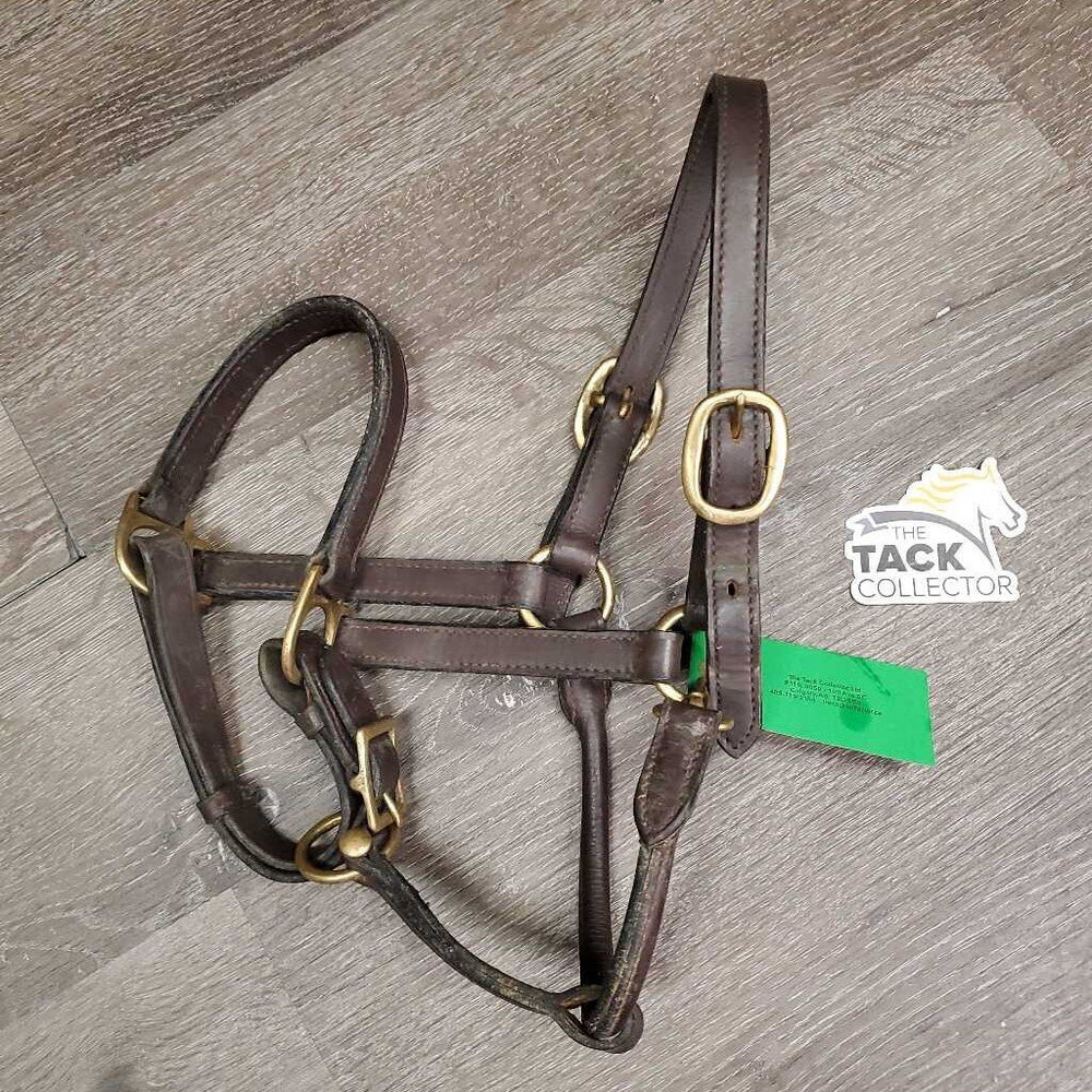 Narrow Leather Halter, adj, snap *vgc, mnr dirt
