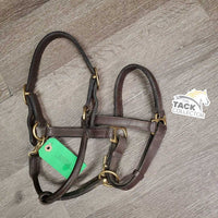 Narrow Leather Halter, adj, snap *vgc, mnr dirt
