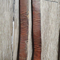 Double Stitched Headstall, Laces, Split Reins *vgc/xc, clean, older, stiff, dry, stains, twists, cracks, mnr dirt
