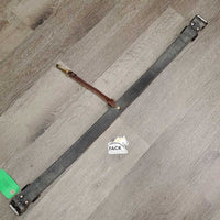 Flat Doube Leather Back Cinch, center strap, brass snap *vgc/xc, mnr film & dirty?residue, edge scrapes
