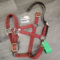 Nylon Breakaway Halter, leather crown, spring snap *gc/fair, dirty, faded, stained, broken crown, stiff snap
