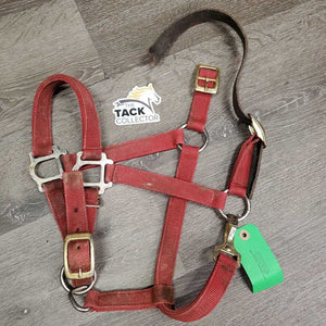Nylon Breakaway Halter, leather crown, spring snap *gc/fair, dirty, faded, stained, broken crown, stiff snap