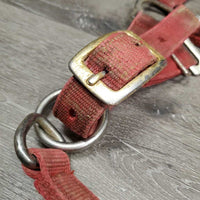 Nylon Breakaway Halter, leather crown, spring snap *gc/fair, dirty, faded, stained, broken crown, stiff snap
