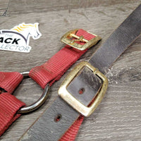Nylon Breakaway Halter, leather crown, spring snap *gc/fair, dirty, faded, stained, broken crown, stiff snap
