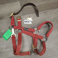 Nylon Breakaway Halter, leather crown, spring snap *gc/fair, dirty, faded, stained, broken crown, stiff snap