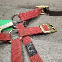 Nylon Breakaway Halter, leather crown, spring snap *gc/fair, dirty, faded, stained, broken crown, stiff snap
