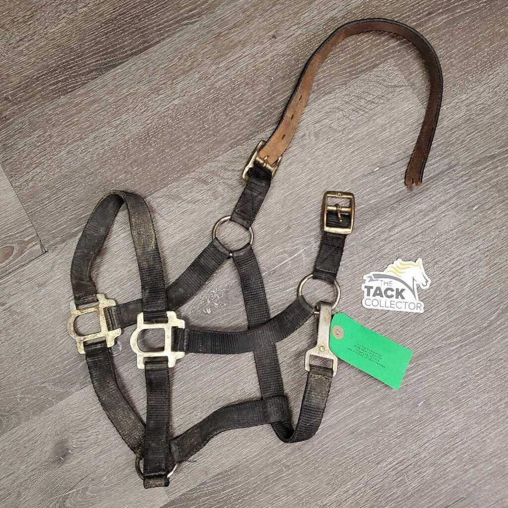 Nylon Breakaway Halter, leather crown *gc, dirt, faded, stained, broken crown